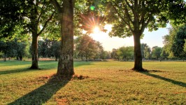 Londýnský park